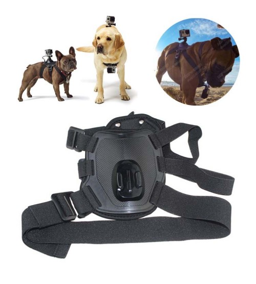 GoPro Fetch Dog Harness